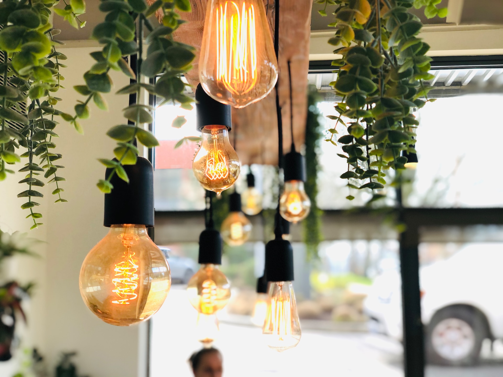 Light bulbs and plants hanging from the ceiling.